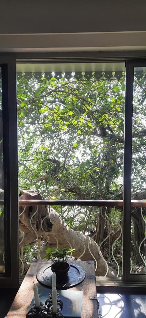 Ahilya By The Sea 호텔 Nerul  외부 사진