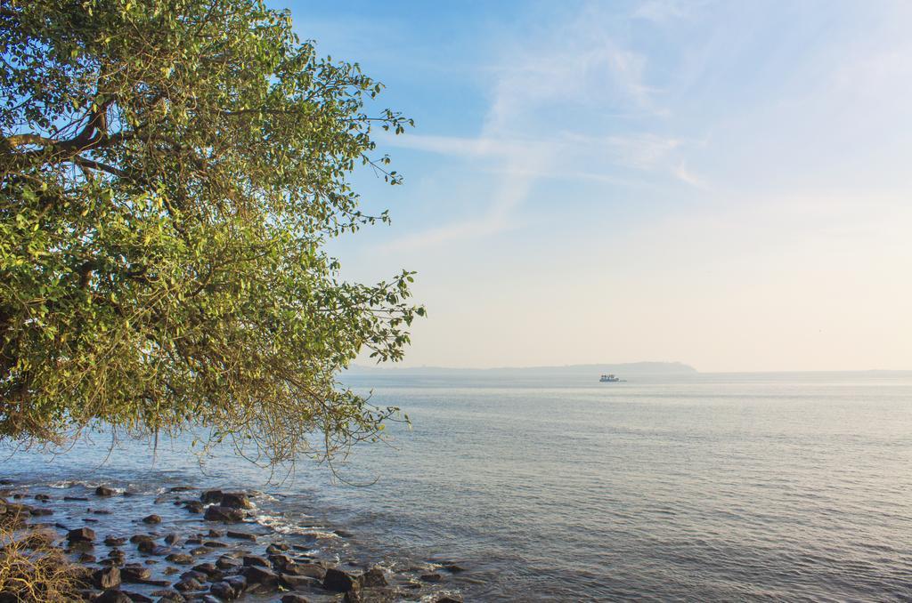 Ahilya By The Sea 호텔 Nerul  외부 사진